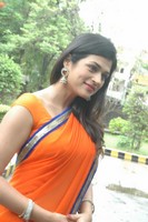 Actress Shraddha Das Saree Photos